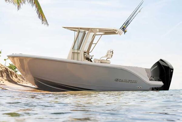 Sailfish 232 CC