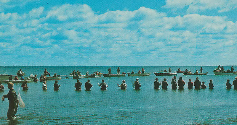 1966-Historic-photo-of-the-salmon-craze-in-Frankfort