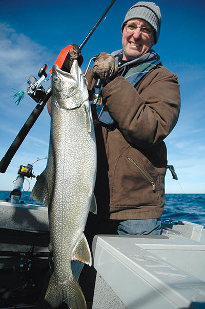 Big lake trout