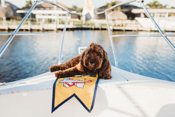 Dog on bow of boat