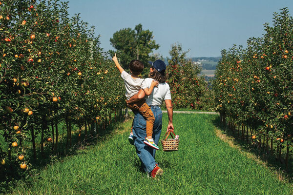 Finger Lakes NY_Beak-Skiff-Apple-Orchards