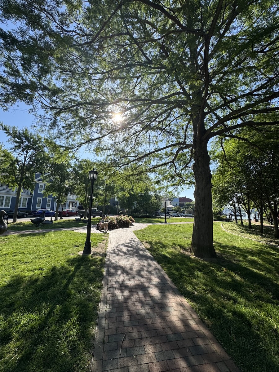 Annapolis_Dinghy_Dock_Landing