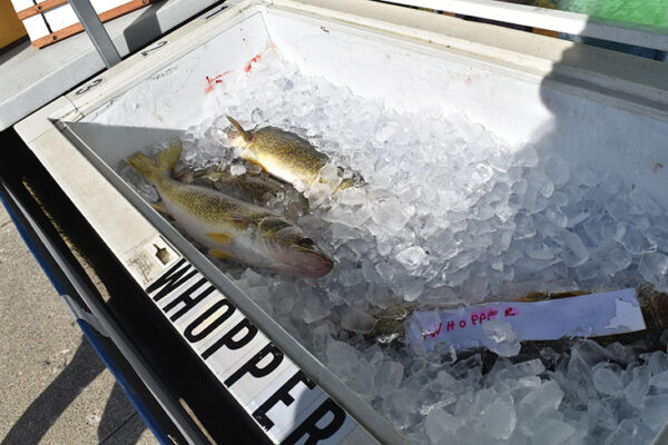 LakeStClair_SB1_Algonac-Lions-Pickerel-Tournament