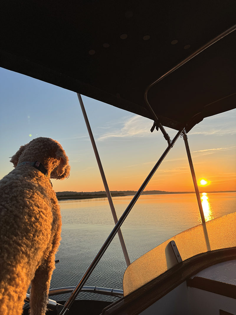 Ripley-Cruising-at-Sunrise