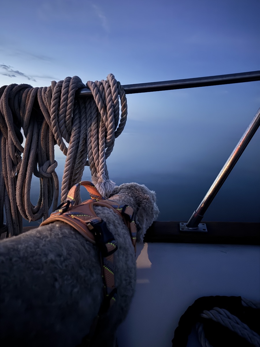 Ripley-watching-for-crab-pots