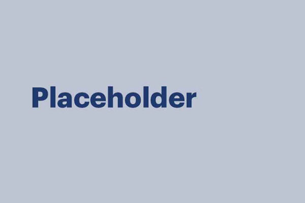 placeholderimage-800-300x225.gif Placeholder 800 x 427