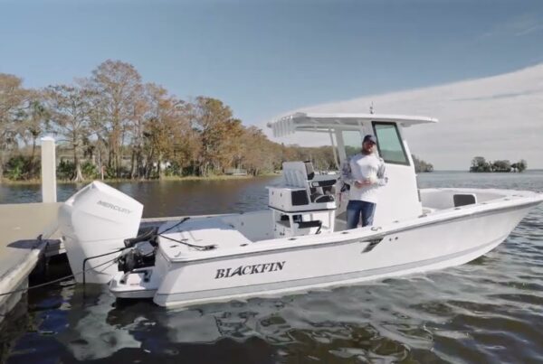 Blackfin 262HB