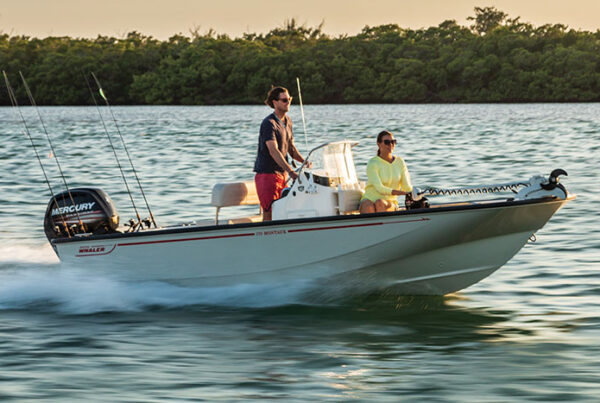 Boston-Whaler-Montauk-170
