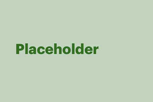 Placeholder 3 Placeholder 3