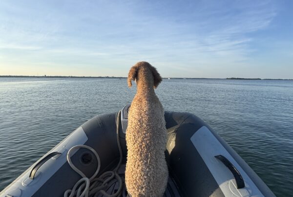 Ripley on new dinghy