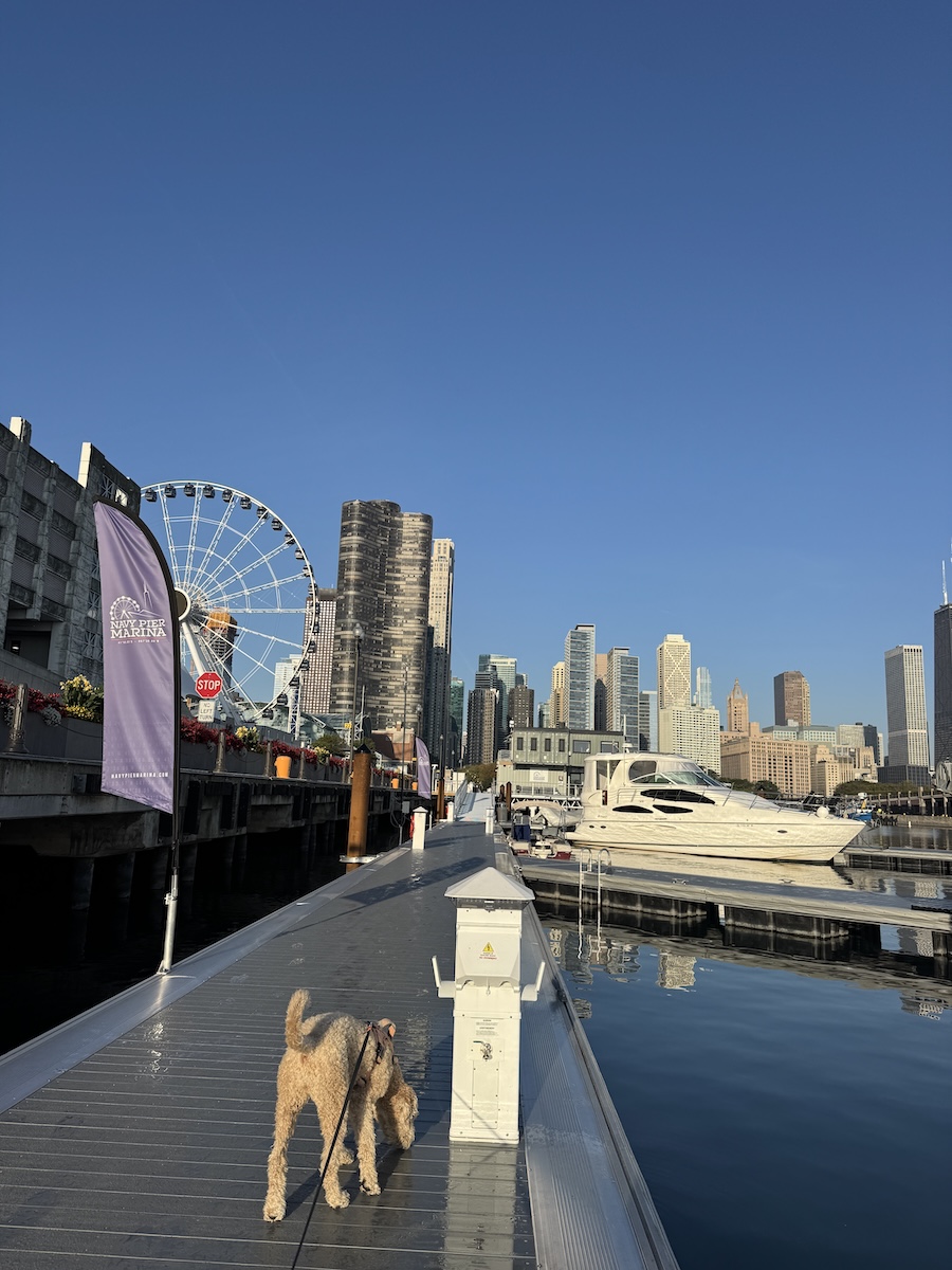 Navy Pier Marina