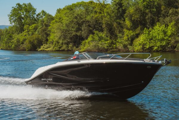 Bayliner Boats C21i