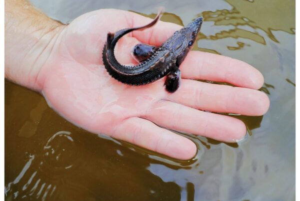 Riveredge Nature Center