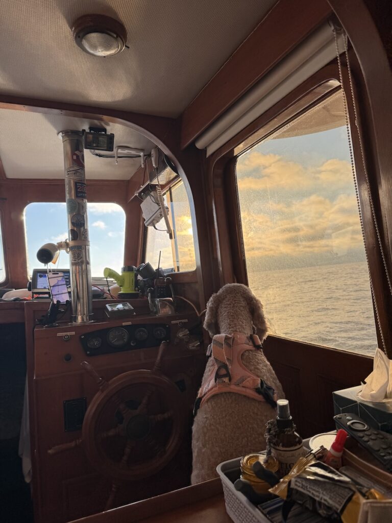 Ripley taking a shift!