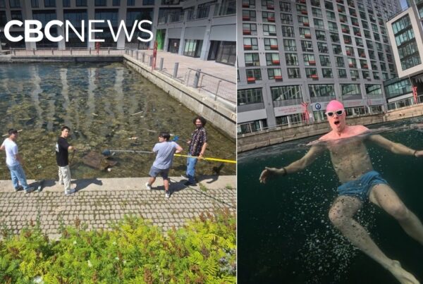 Toronto Basin, Once Filled With Trash, Becomes New Swim Spot