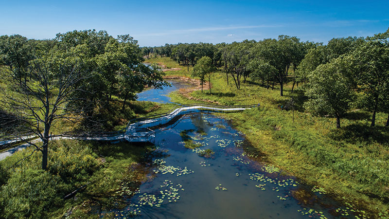 Cowles Bog