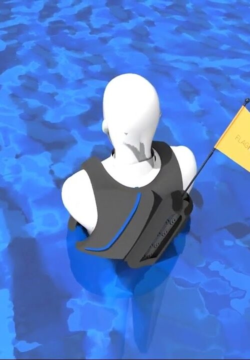 FlagGuard