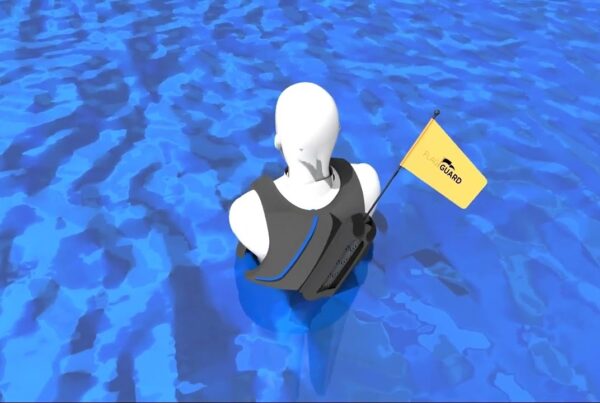 FlagGuard