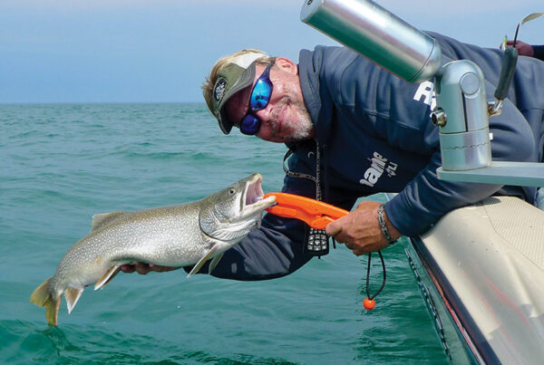 Mark Davis Laker Release