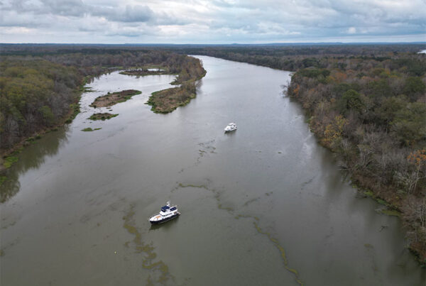 Anchored near Aliceville, AL