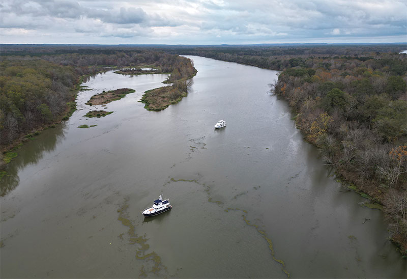 Anchored near Aliceville, AL