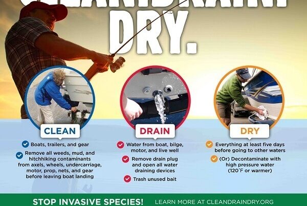 Aquatic Invasive Species Awareness Week