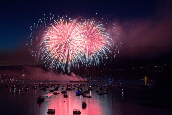 Fireworks - Wan Chen