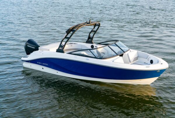 Bayliner V22