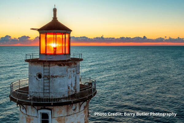 Light the Way