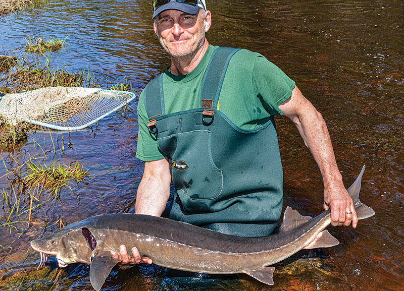 Man holding sturgeon fish