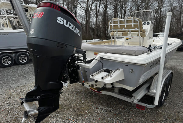 Trailer boat transducer
