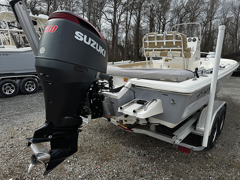 Trailer boat transducer