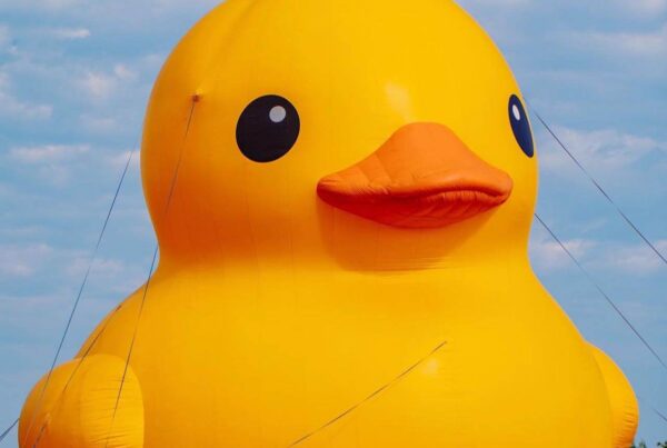 Mama Duck