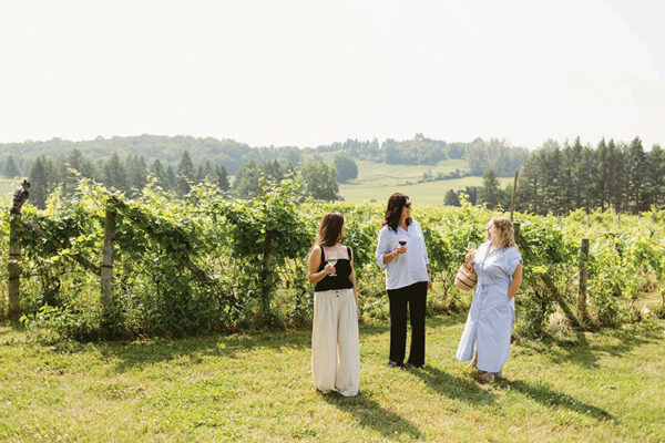 Suttons Bay_Big Little Wines
